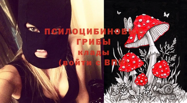 эйфоретик Нея