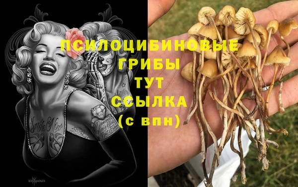гашиш Нефтекумск