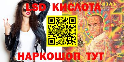 крисы Славгород