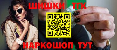 крисы Славгород