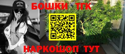 крисы Славгород