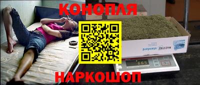 крисы Славгород
