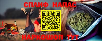 крисы Славгород