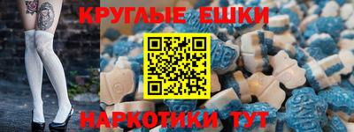 крисы Славгород