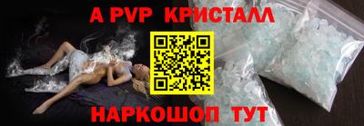 крисы Славгород
