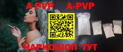 крисы Славгород